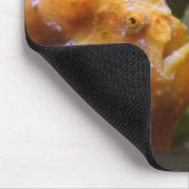 Antennarius commerson & Taenianotus triacanthus Mousepad (Ecke)