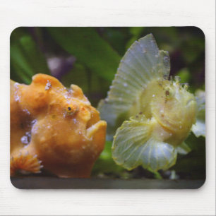 Antennarius commerson & Taenianotus triacanthus Mousepad