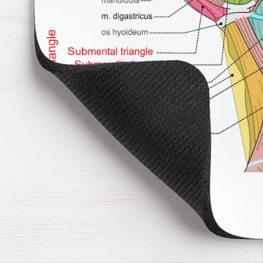 Anteriore Anatomische Muskeln im hinteren Dreieck Mousepad (Ecke)