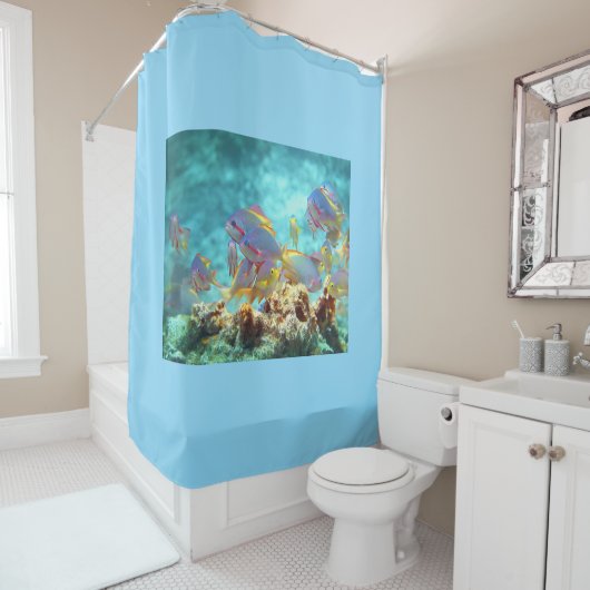 Anthias - Farbenfrohe Fischschule am Korallenriff Duschvorhang (Beispiel)