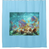 Anthias - Farbenfrohe Fischschule am Korallenriff Duschvorhang (Vorderseite)