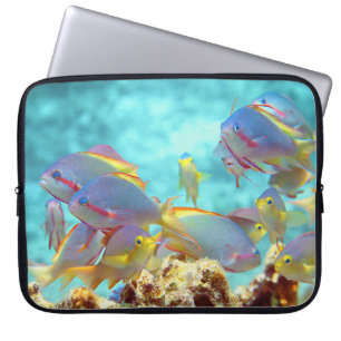 Anthias - Farbenfrohe Fischschule am Korallenriff Laptopschutzhülle