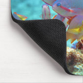 Anthias - Farbenfrohe Fischschule am Korallenriff Mousepad (Ecke)