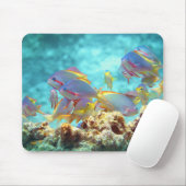 Anthias - Farbenfrohe Fischschule am Korallenriff Mousepad (Mit Mouse)