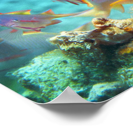 Anthias - Farbenfrohe Fischschule am Korallenriff  Poster (Ecke)