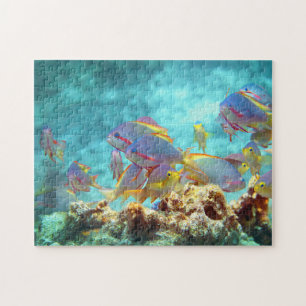 Anthias - Farbenfrohe Fischschule am Korallenriff  Puzzle