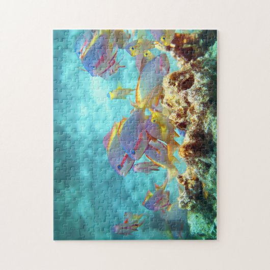 Anthias - Farbenfrohe Fischschule am Korallenriff  Puzzle (Vertikal)