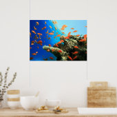 Anthias LyRetail am Korallenriff Poster (Küche)