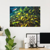 Anthias Reef Party Poster (Heimbüro)