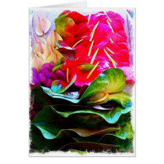 Anthiriums