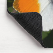 Anthocharis cardamine mousepad (Ecke)