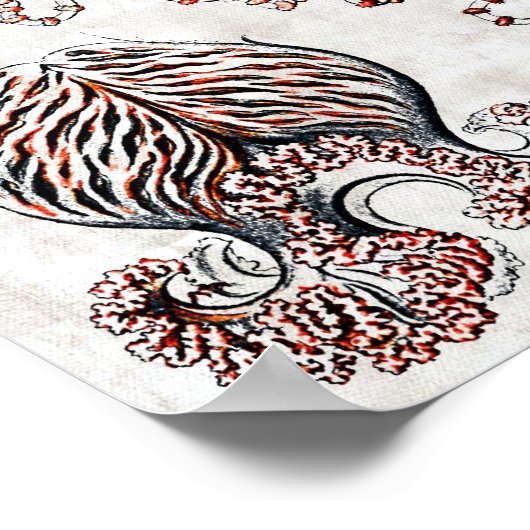 Anthomedusae Poster (Ecke)