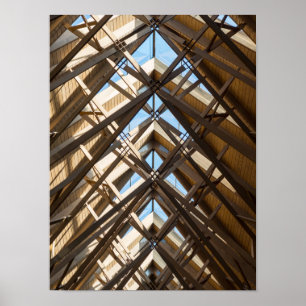 Anthony Skylights Poster