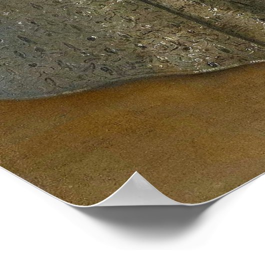 Anthony van Dyck - William mit seiner Braut Poster (Ecke)