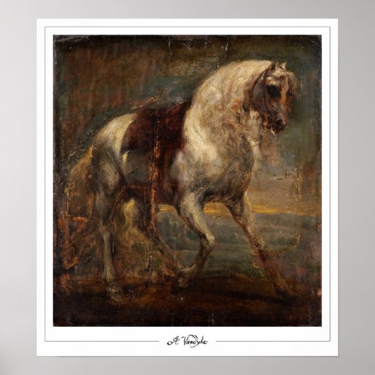 Anthony van Dyck Zedign Art Poster #31 (Vorne)
