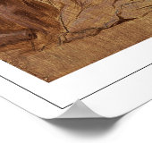 Anthony van Dyck Zedign Art Poster #889 (Ecke)