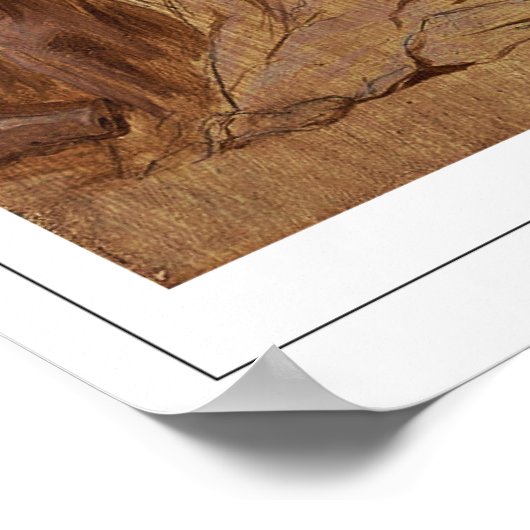 Anthony van Dyck Zedign Art Poster #889 (Ecke)