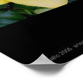 Anthony's Lily von Gregory Gallo Poster (Ecke)