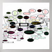 Anthropologie Poster (Vorne)