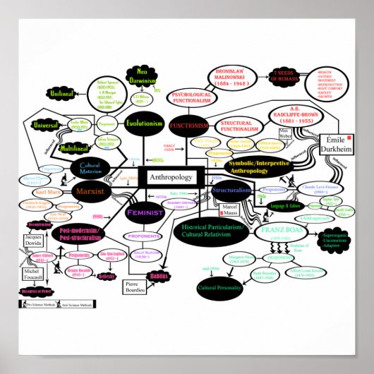 Anthropologie Poster (Vorne)