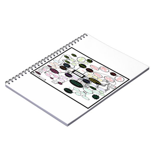 Anthropology Concept Map Spiral Foto Notebook Notizblock (Linke Seite)