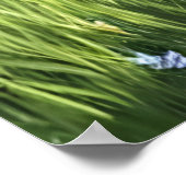 Anthropomorphe weiße Katze in blauem Kleid | Art d Poster (Ecke)