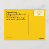 ANTHROPOMORPHIE ~ ANTIQUE CORN MAN Image~ POSTCARD Postkarte (Rückseite)