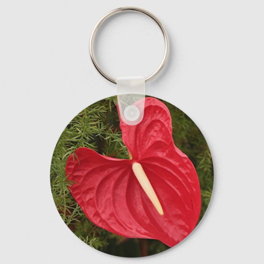 Anthurium-Blume in Blüte Schlüsselanhänger (Vorderseite)