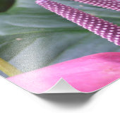 Anthurium-Blume mit Butterfly 20"x16"-Foto Fotodruck (Ecke)