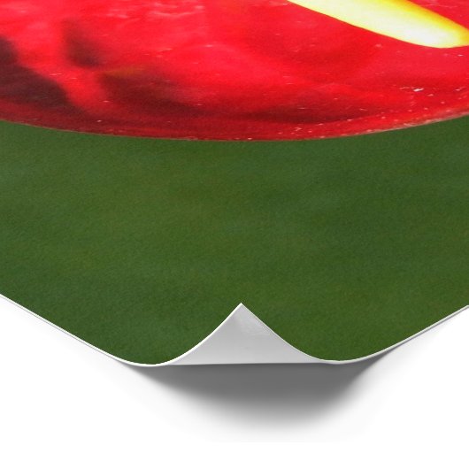 Anthurium-Blume Poster (Ecke)