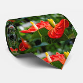 Anthurium Multi Krawatte (Gerollt)