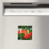 Anthurium Multi Magnet (In Situ (Geschirrspüler))