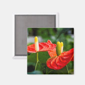 Anthurium Multi Magnet (Vorderseite/Rückseite)