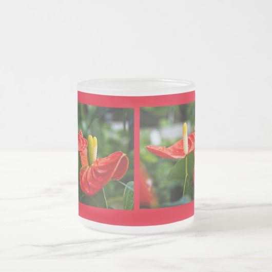 Anthurium Multi Mattglastasse (Mittel)