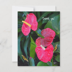 Anthurium-Pflanze Dankeskarte