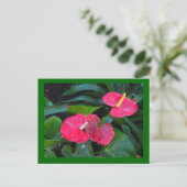 Anthurium-Pflanze Feiertagspostkarte (Stehend Vorderseite)