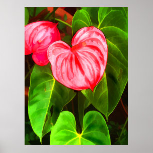 Anthurium Pflanze Poster