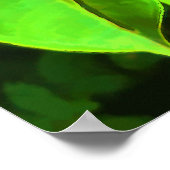 Anthurium Pflanze Poster (Ecke)