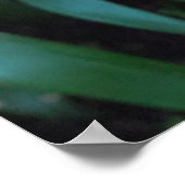 Anthurium-Pflanze Poster (Ecke)