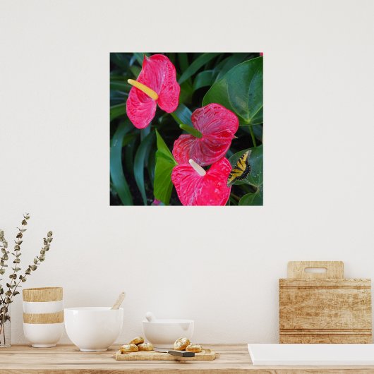 Anthurium-Pflanze Poster (Küche)