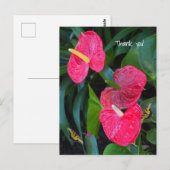 Anthurium-Pflanze Postkarte (Vorne/Hinten)