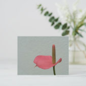 Anthurium Postkarte (Stehend Vorderseite)