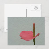 Anthurium Postkarte (Vorne/Hinten)