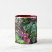 Anthurium Tasse (Zentrum)