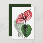 Anthurium Tropical Blume Blank Dankeskarte (Vorne/Hinten)