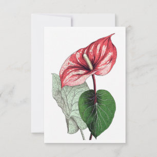 Anthurium Tropical Blume Blank Dankeskarte