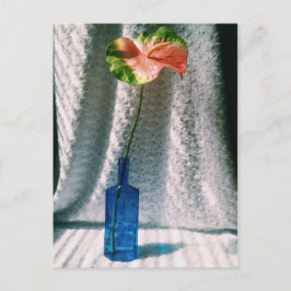 Anthurium und Blauflasche leben noch Postkarte