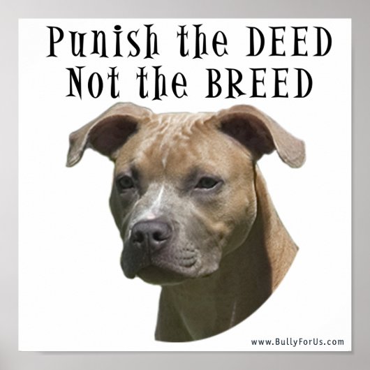 Anti-BSL bestraft die Tat, nicht das Breed Poster (Vorne)