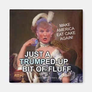 Anti Donald Trump Marie Antoinette 2020 Wahl Magnet