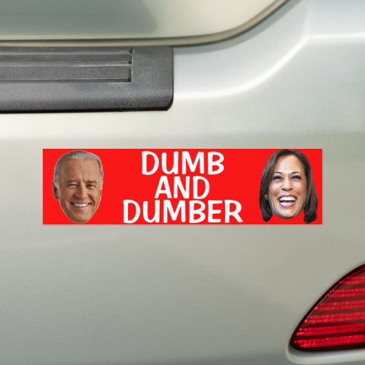ANTI JOE BIDEN TRUMP 2020 AUTOAUFKLEBER (Auf Auto)